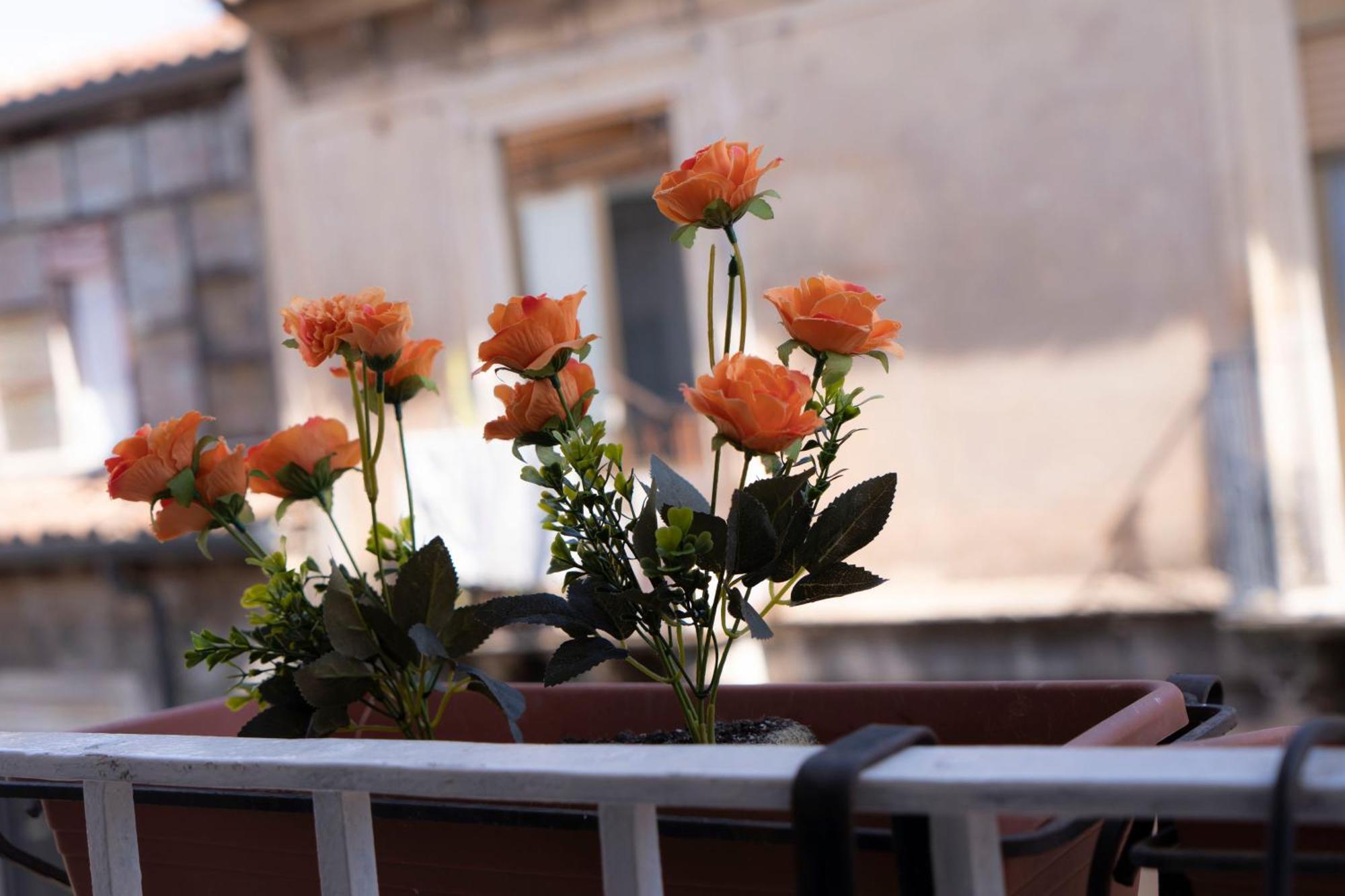 Etna Timeo Central Apartment In Baroque Building คาตาเนีย ภายนอก รูปภาพ